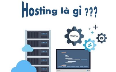 Hướng dẫn lựa chọn Hosting phù hợp với nhu cầu của doanh nghiệp (P1)